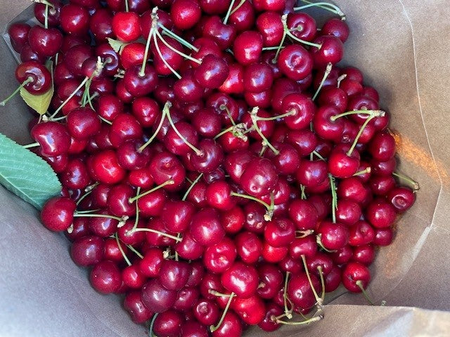 Flathead Lake Bing Cherries