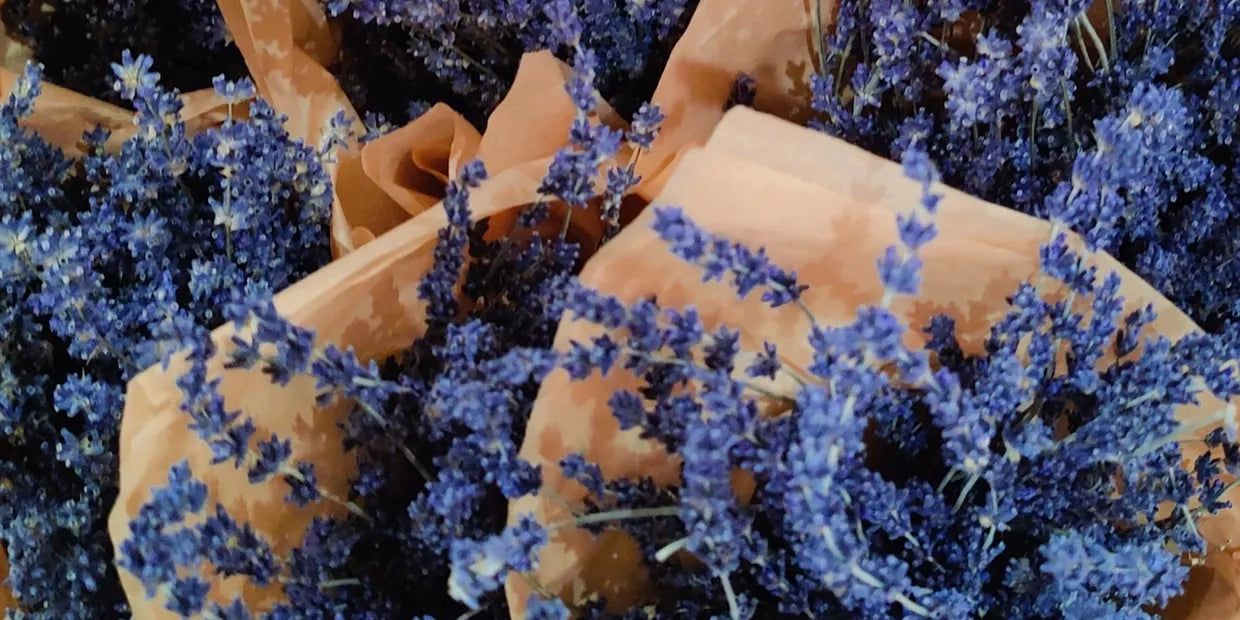 Dried Lavender Bundle: Grown in Montana