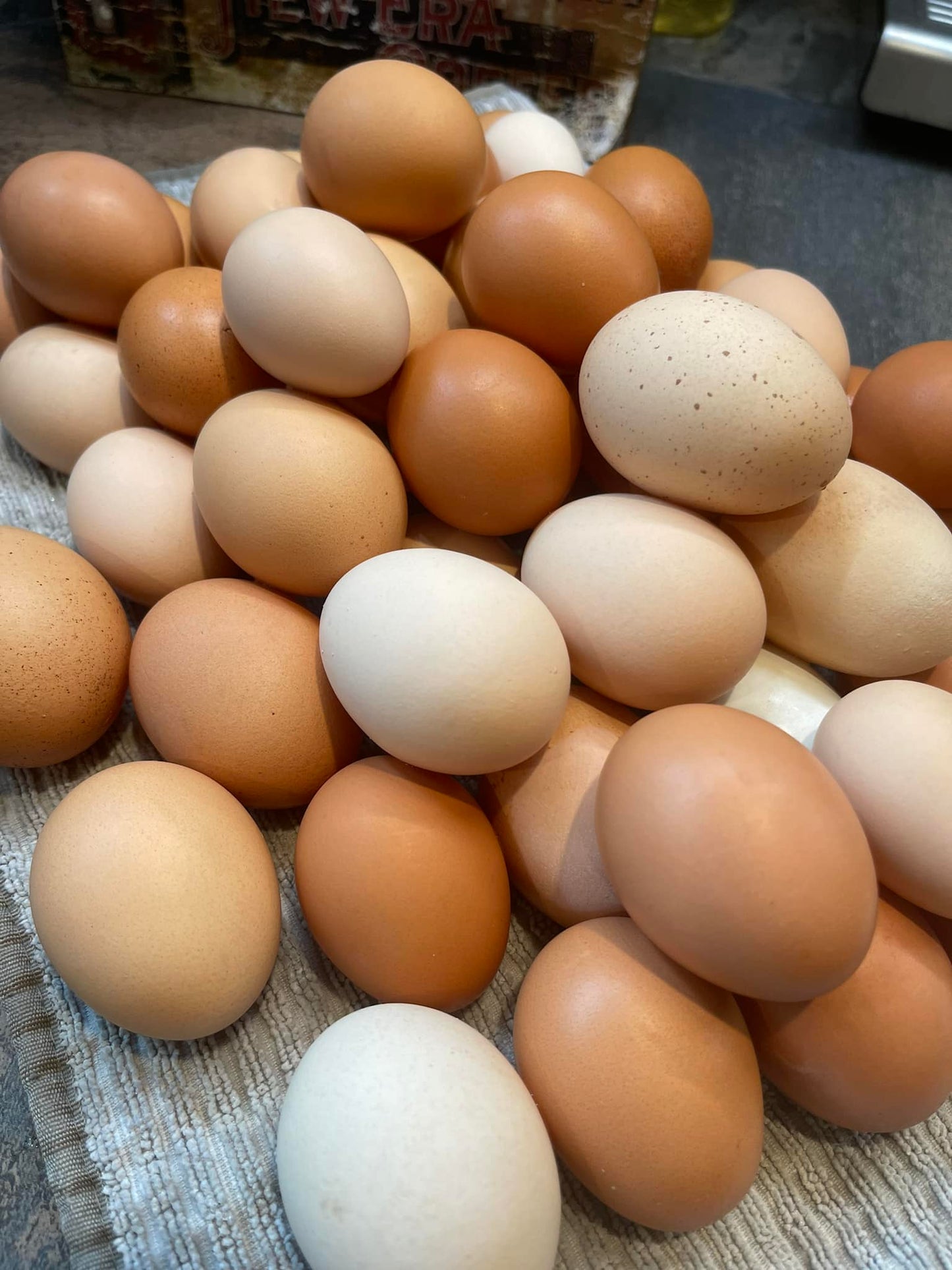 Farm Fresh Egg, Dozen Pack