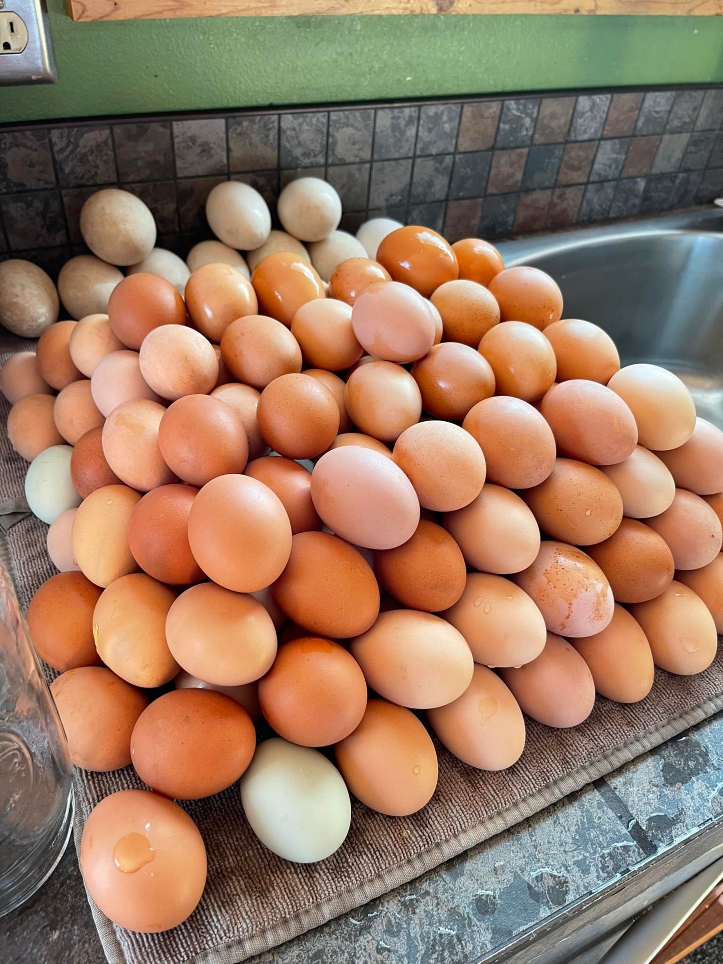 Farm Fresh Egg, Dozen Pack