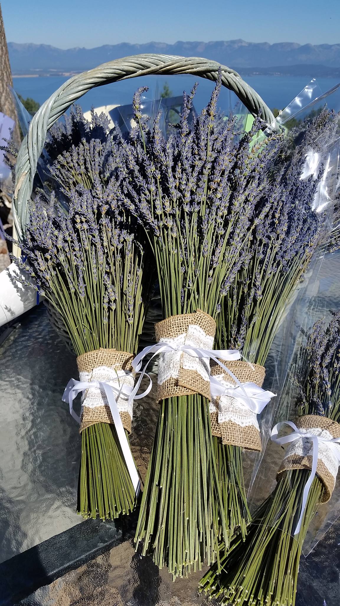 Dried Lavender Bundle: Grown in Montana