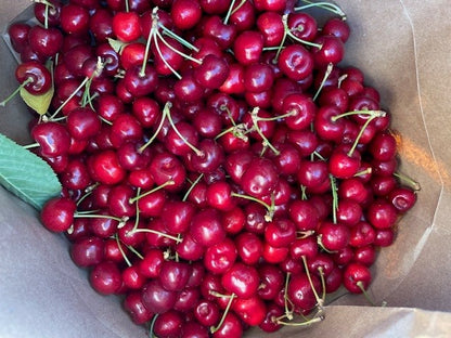 Flathead Lake Bing Cherries