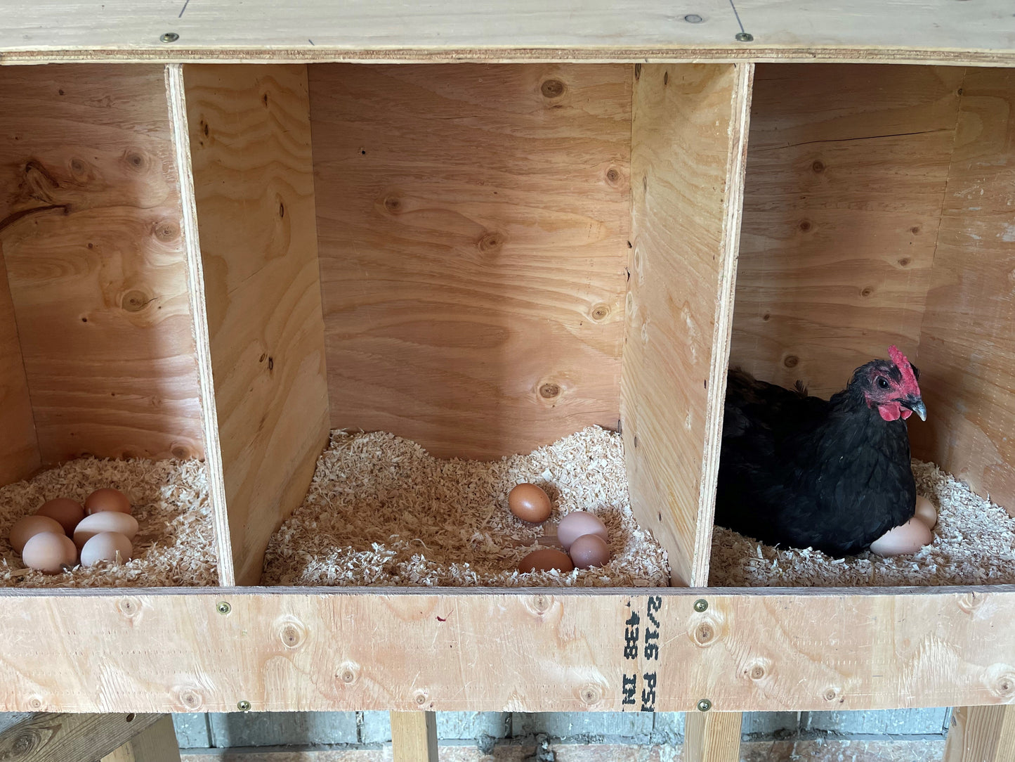 Farm Share Chicken Eggs, Dozen