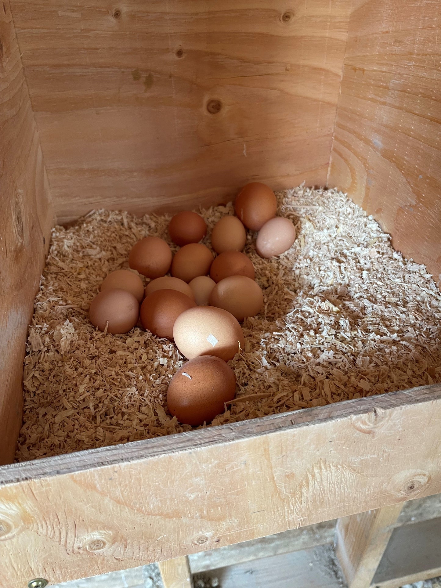 Farm Share Chicken Eggs, Dozen