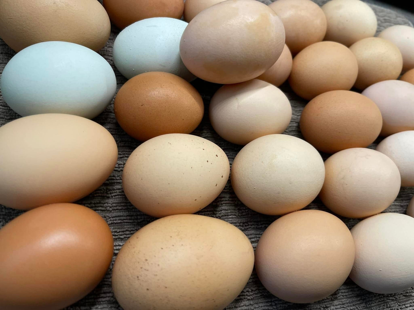 Farm Share Chicken Eggs, Dozen